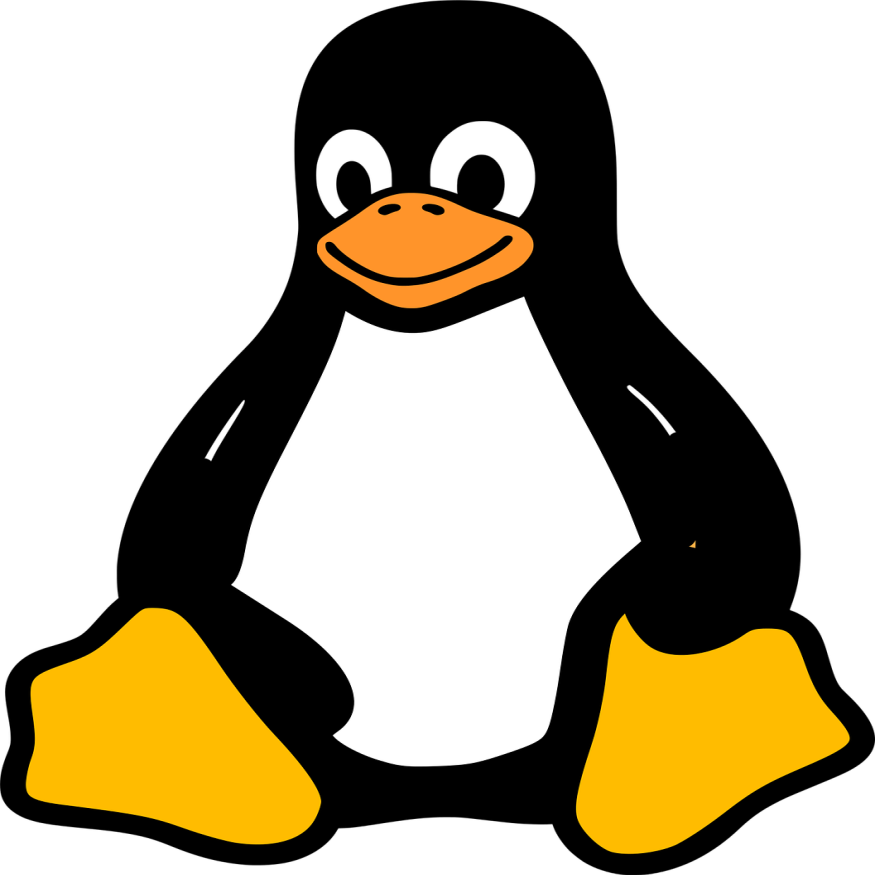 seo-agency Images